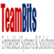 TeamBits Embedded Systems